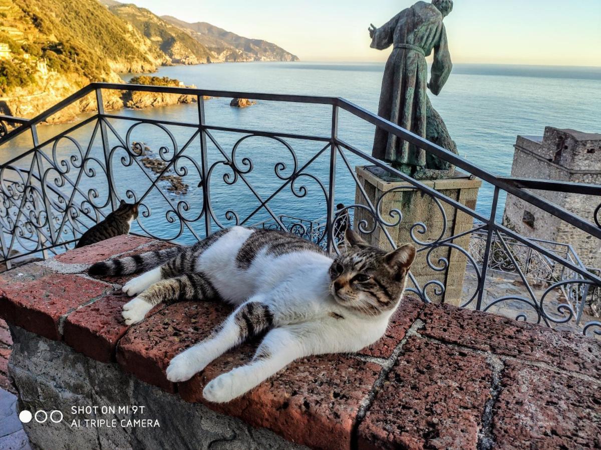 Il Balconcino Sul Carugio Lägenhet Monterosso al Mare Exteriör bild